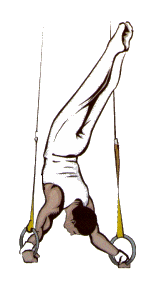 gymnaste